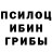 ГАШ гарик Salvador Tinoco