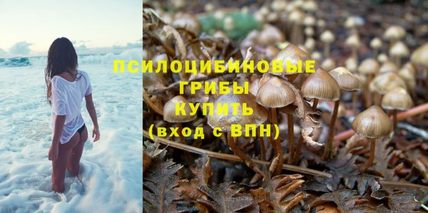 СК Алексин