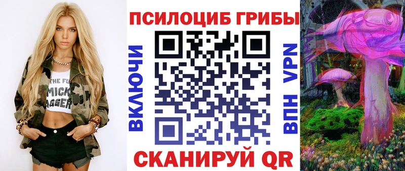 сколько стоит  Власиха  Галлюциногенные грибы Cubensis 