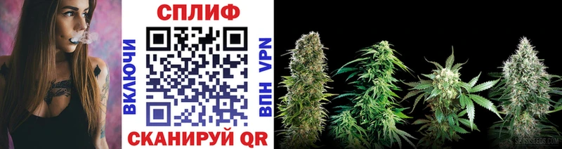продажа наркотиков  Власиха  hydra ссылки  Конопля MAZAR 